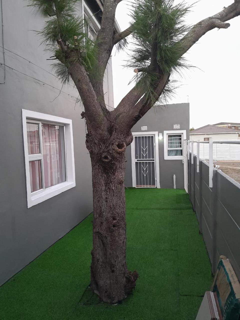 Brooklyn Queens And Kings Guesthouse Cape Town Luaran gambar